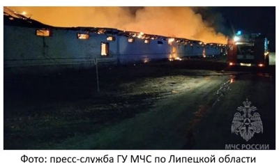 Пожар на птицеферме в Липецкой области