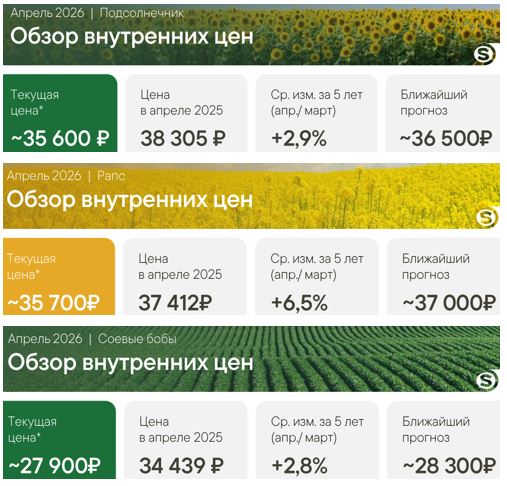 Внутренние цены на масличные, апрель 2026