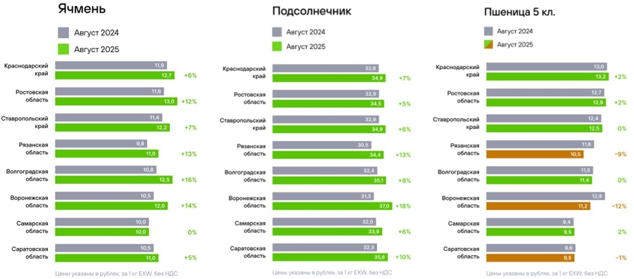Сравнительный обзор цен за август 2024/2025