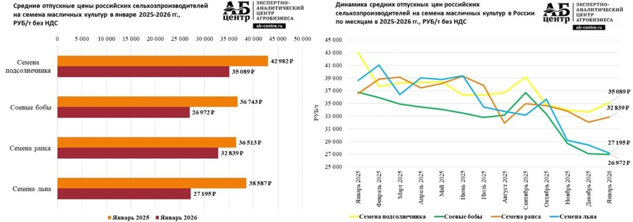 Динамика цен на масличные