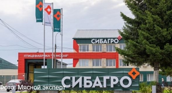 Томская птицефабрика "Сибагро", модернизация очистных