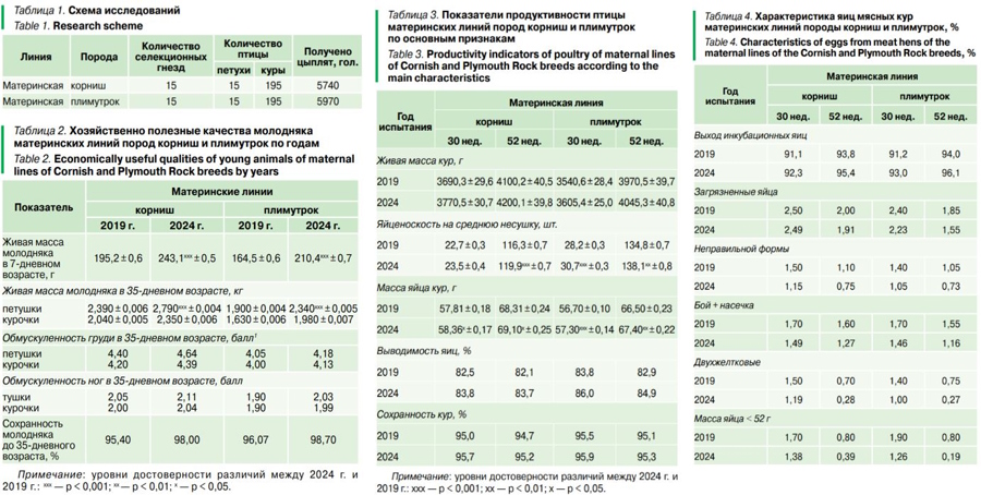 Селекция материнских линий пород корниш и плимутрок