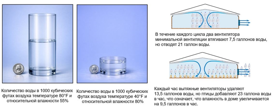 Относительная влажность подстилки в бройлерном птичнике