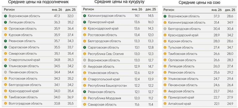 Еженедельный обзор Ruseed от 06.03.2026