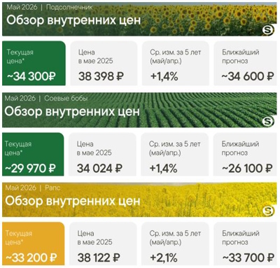 Обзор цена на масличные, май 2026