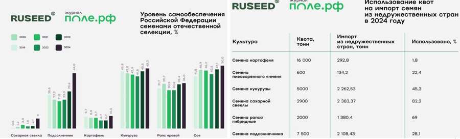 Итоги года в селекции и семеноводстве - 2024