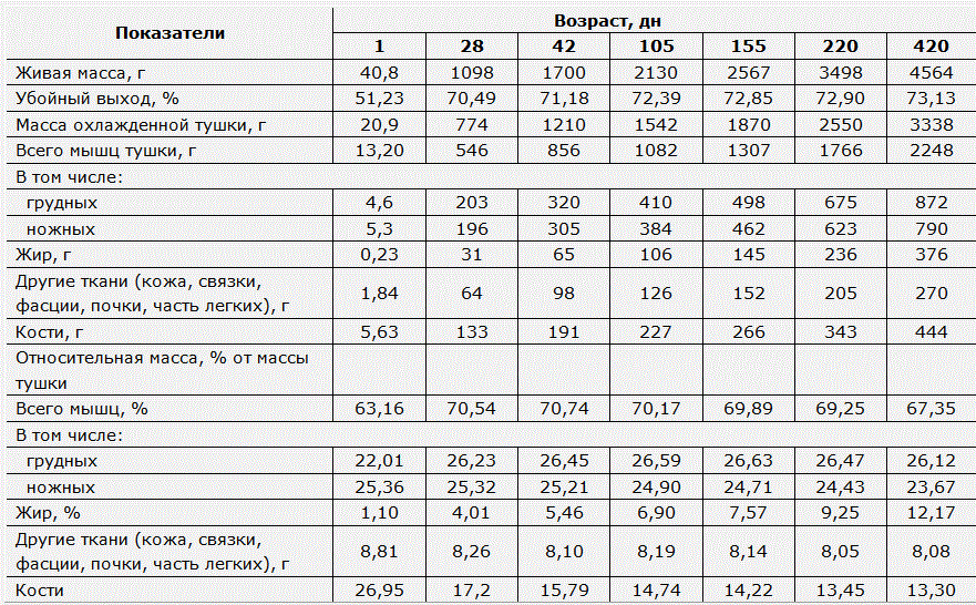 Морфологические исследования охлаждённых потрошёных тушек