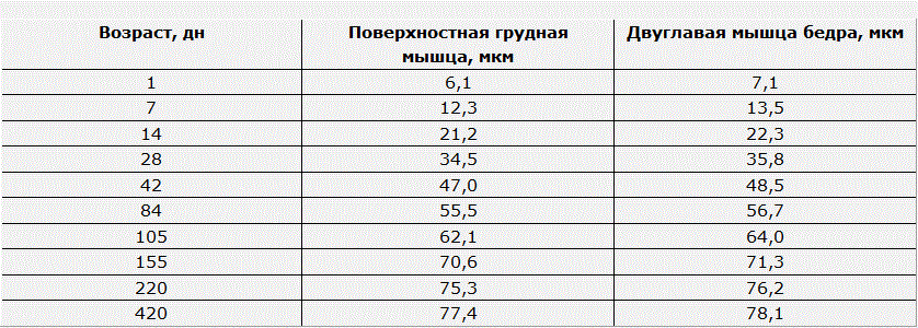 Морфологические исследования охлаждённых потрошёных тушек