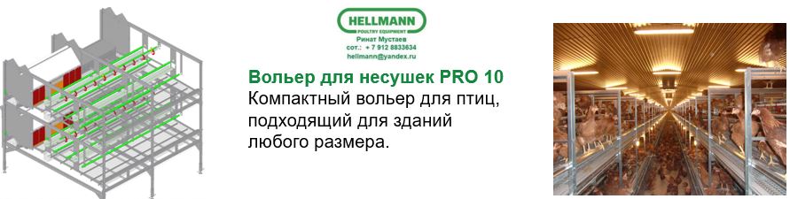 Вольерная система содержания птицы, на примере оборудования Hellmann Poultry