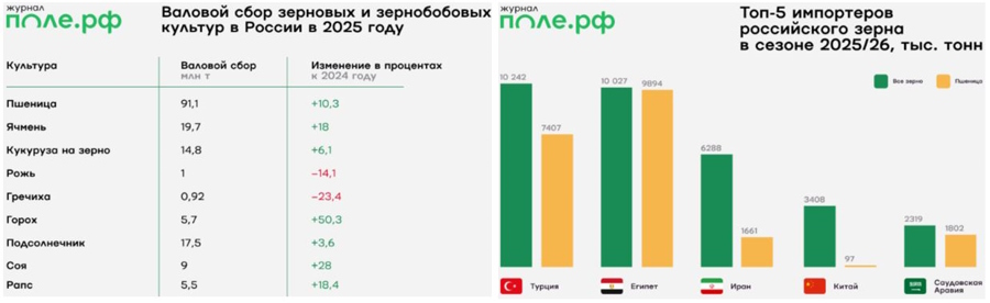 Зерновые, сельхозсезон 2025/2026
