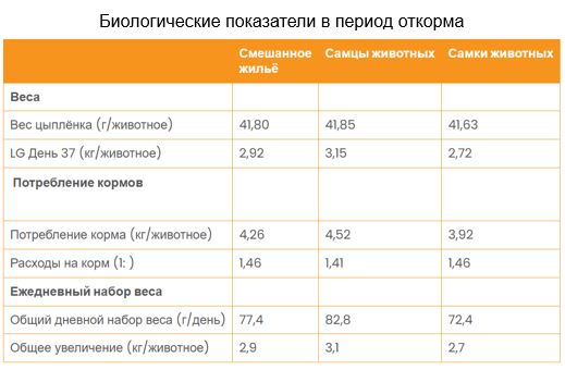 Раздельное содержание птицы