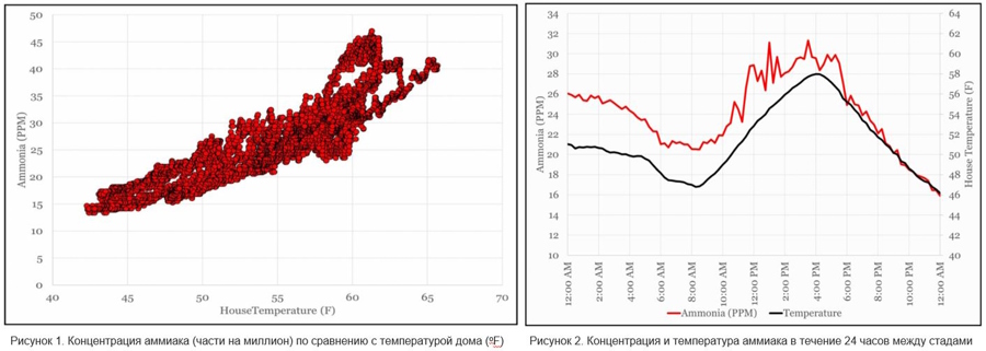 Аммиак в птичнике при бройлерном содержании цыплят