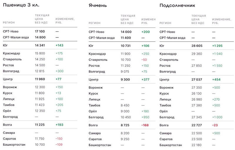 Рынок зерна на 11 августа 2023