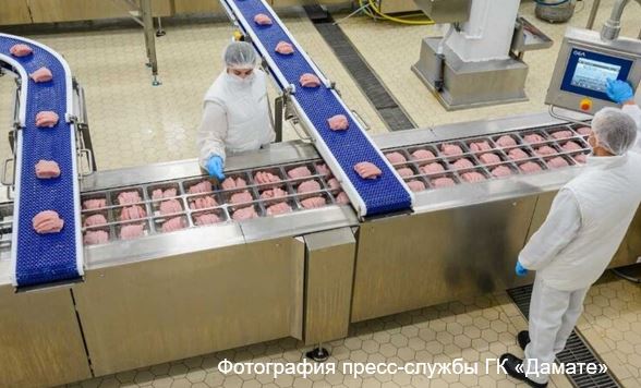 Дамате, развитие переработки индейки и утки