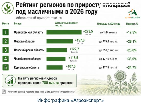 Рейтинг регионов под масличные