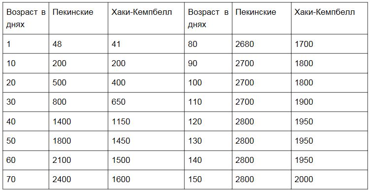Утята в домашних условиях 