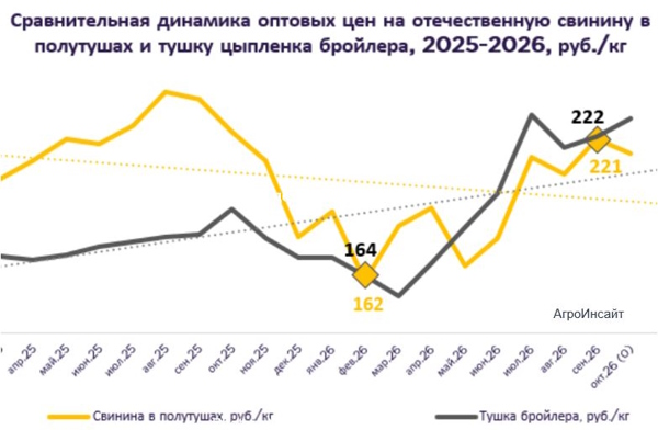 Оптовые цены на тушку бройлера и свиную полутушу