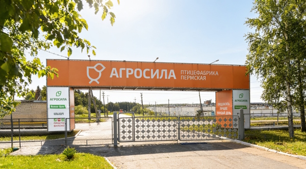 Пресс релиз: Агросила расширяет бройлерное производство