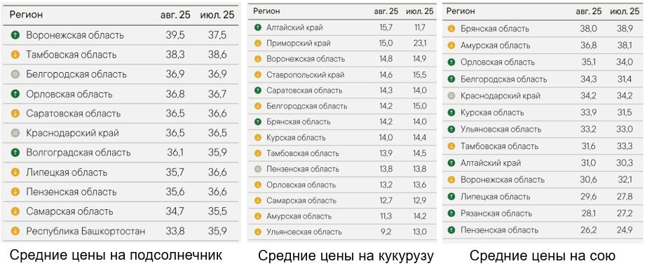 Краткий обзор рынков от Russed