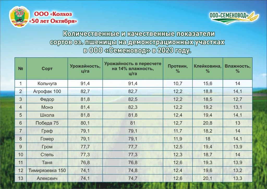 Сорта озимой пшеницы