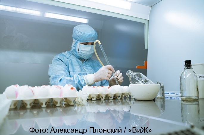 Импортозамещение инкубационного яйца