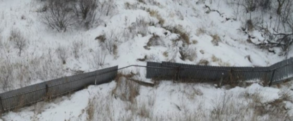 Нарушение правила содержания птицы