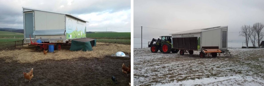 Мобильные курятники в Европе