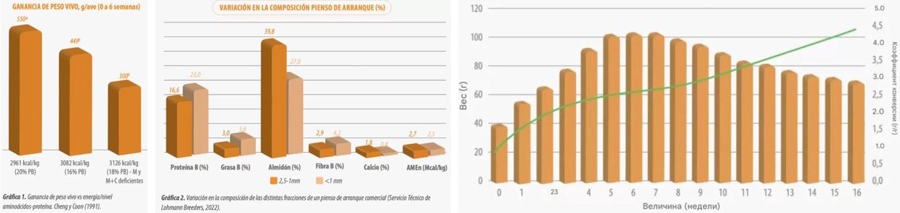 Выращивание молодняка птицы, аспекты содержания