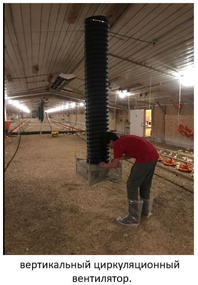 Циркуляционные вентиляторы в птичнике