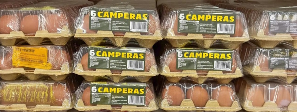 Испания, стоимость на куриное яйцо