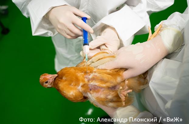 Методы качества вакцин