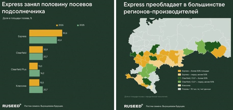 Гибрид подсолнечника перешел на Express