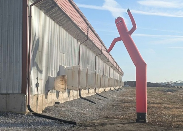 Отпугиватель птиц на американской ферме