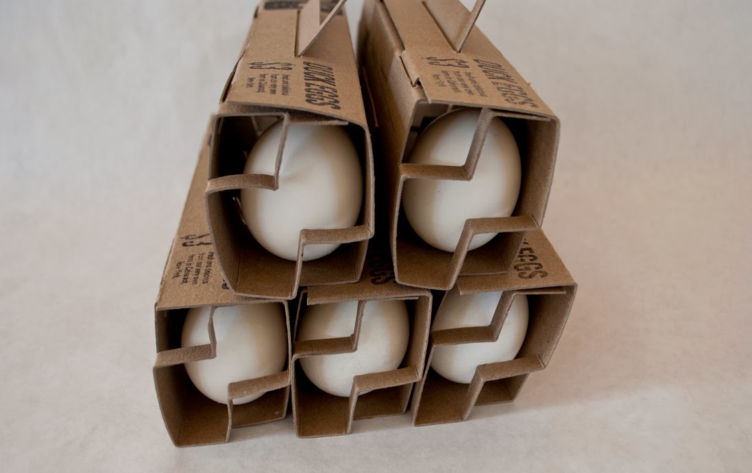 Экологичный концепт упаковки для утиных яиц придумала студентка из США.