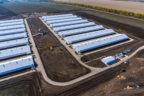 Пенза. Новая площадка для индейки Дамате 