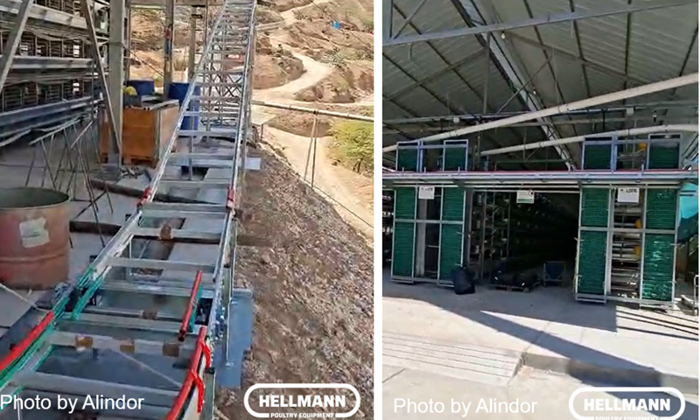 Перу, монтаж оборудования Hellmann Poultry