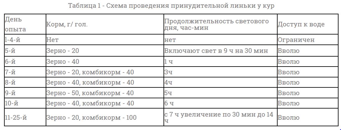 Проведение принудительной линьки у кур-несушек на птицефабрике 