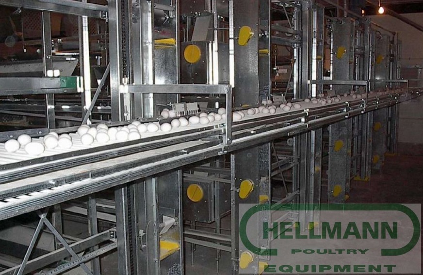 Сбор яиц - лифтовая система Hellmann Poultry